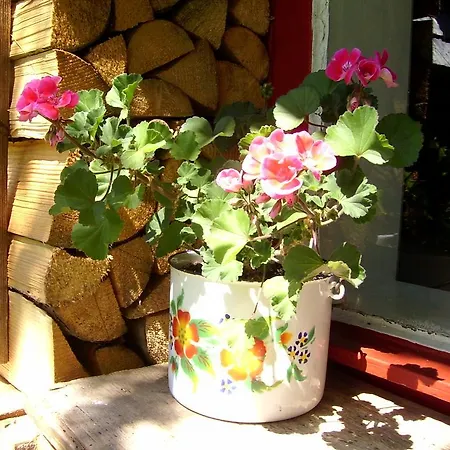 בית נופש Retro